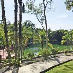 Отель Royal Lee Resort & Spa с домашними животными