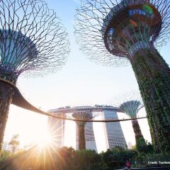 Отель Mercure Singapore Bugis Сингапур, Сингапур - 1 отзыв об отеле, цены и фото номеров - забронировать отель Mercure Singapore Bugis онлайн фото 3