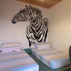 Chengdu Dreams Travel Youth Hostel сауна