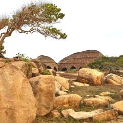 Отель Wild Coast Tented Lodge - All Inclusive Шри-Ланка, Тиссамахарама - отзывы, цены и фото номеров - забронировать отель Wild Coast Tented Lodge - All Inclusive онлайн приотельная территория