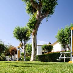 Отель Mitsis Rodos Maris Resort & Spa - All Inclusive детские мероприятия
