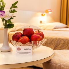 Hotel Geneva в номере фото 2