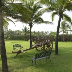 Отель Royal Orchid Beach Resort & Spa Индия, Гоа - отзывы, цены и фото номеров - забронировать отель Royal Orchid Beach Resort & Spa онлайн фото 2