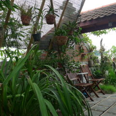 Queen Travel Boutique Hotel - Hang Bac Ханой