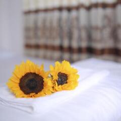 Sunny Hostel удобства в номере