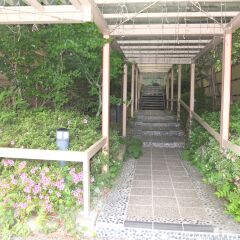 Отель Kinugawa Park Hotels Park Cottage Никко фото 4