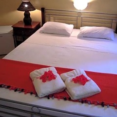 Vanuatu Holiday Hotel в номере фото 2