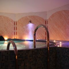 Boutique Spa Hotel Pegasa Pils фото 24