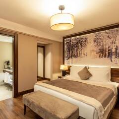 Dorukkaya Ski & Mountain Resort Турция, Болу - отзывы, цены и фото номеров - забронировать отель Dorukkaya Ski & Mountain Resort онлайн комната для гостей фото 4
