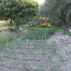 Отель Agriturismo Petrara Симери-Крики фото 2