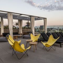 Kimpton Everly Hotel с домашними животными