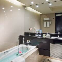 Mercure Gold Hotel Al Mina Road Dubai ванная фото 2