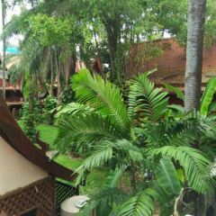 Safari Beach Hotel фото 2