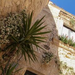 Отель Chiesa Greca B&B Suites Лечче