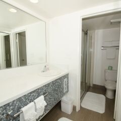 Отель Thunderbird Hotel США, Лас-Вегас - отзывы, цены и фото номеров - забронировать отель Thunderbird Hotel онлайн ванная фото 2
