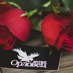 Отель Orlovetz Болгария, Боженци - отзывы, цены и фото номеров - забронировать отель Orlovetz онлайн гостиничный бар
