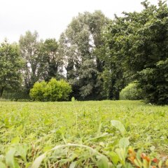 Отель Agriturismo La Madoneta Сан-Джорджо-ин-Боско приотельная территория фото 2