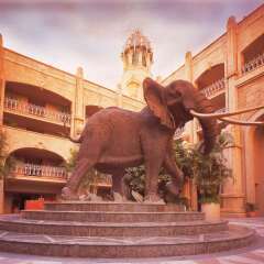 Отель The Palace of the Lost City at Sun City Resort фото 5