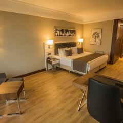 Radisson Blu Hotel Diyarbakir комната для гостей фото 3