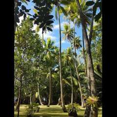 Отель Motu Mapeti - Tahiti Private Island спортивное сооружение