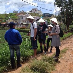 Отель Dalat Authentic Homestay Вьетнам, Далат - отзывы, цены и фото номеров - забронировать отель Dalat Authentic Homestay онлайн приотельная территория