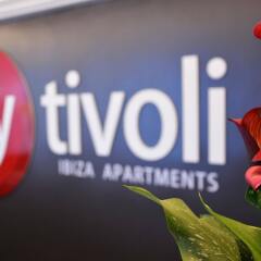 Отель Apartamentos Playasol My Tivoli гостиничный бар