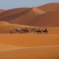 Отель Bivouac Off Road Merzouga Марокко, Мерзуга - отзывы, цены и фото номеров - забронировать отель Bivouac Off Road Merzouga онлайн приотельная территория