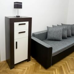 Апартаменты Black & White Apartment by Venceslas Sq. комната для гостей фото 3