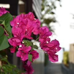 Отель Sai Naam Lanta Residence Ланта фото 7
