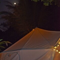 Glamping Monterrico in Monterico, Guatemala from 358$, photos, reviews - zenhotels.com photo 5