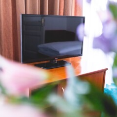 Отель Astoria & Medical Spa удобства в номере фото 2