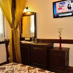 Alp Guesthouse Турция, Стамбул - отзывы, цены и фото номеров - забронировать отель Alp Guesthouse онлайн удобства в номере фото 2