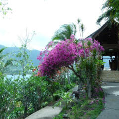 Отель Nuku Hiva Keikahanui Pearl Lodge фото 5