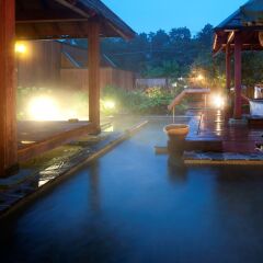 Izumigo Hotel Ambient Izukogen Ито с домашними животными