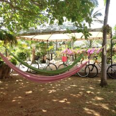 Отель Casa de las Flores Tropical Lodge Колумбия, Сан-Андрес - отзывы, цены и фото номеров - забронировать отель Casa de las Flores Tropical Lodge онлайн детские мероприятия
