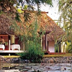 Отель The Westin Denarau Island Resort & Spa, Fiji Фиджи, Вити-Леву - отзывы, цены и фото номеров - забронировать отель The Westin Denarau Island Resort & Spa, Fiji онлайн фото 4