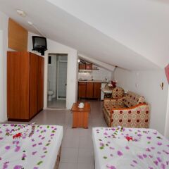 Апартаменты Apartments Rosy комната для гостей фото 3