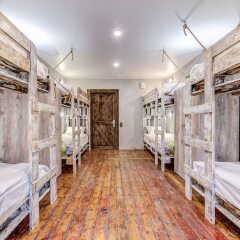 Гостиница Moomidol Hostel в Санкт-Петербурге отзывы, цены и фото номеров - забронировать гостиницу Moomidol Hostel онлайн Санкт-Петербург детские мероприятия