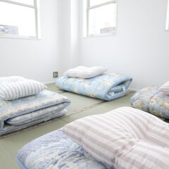 Отель KITSUNE SHIPPO - Hostel Япония, Токио - отзывы, цены и фото номеров - забронировать отель KITSUNE SHIPPO - Hostel онлайн комната для гостей фото 3