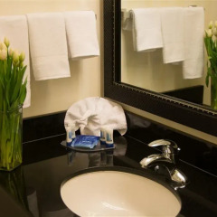 Отель Fairfield Inn by Marriott Washington D.C. США, Вашингтон - отзывы, цены и фото номеров - забронировать отель Fairfield Inn by Marriott Washington D.C. онлайн ванная