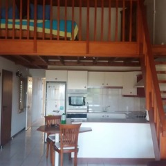 Отель Condo Ohi - Near Plage Toaroto Французская Полинезия, Пунаауиа - отзывы, цены и фото номеров - забронировать отель Condo Ohi - Near Plage Toaroto онлайн в номере фото 2