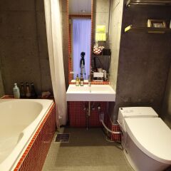 HOTEL THE HOTEL Shinjuku Kabukicho - Adult Only ванная фото 2