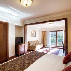 Отель Electra Palace Athens 5* Полулюкс