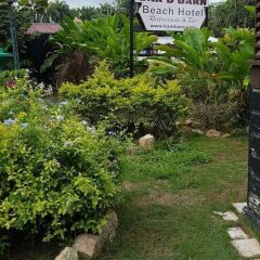Bar-B-Barn Beach Hotel балкон