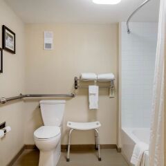 Отель Comfort Inn & Suites Little Rock Airport США, Литл-Рок - отзывы, цены и фото номеров - забронировать отель Comfort Inn & Suites Little Rock Airport онлайн ванная фото 2
