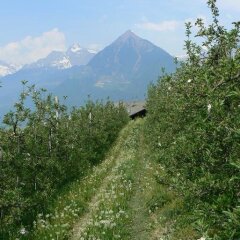 Отель Pension Obertaberhof Сцена фото 4