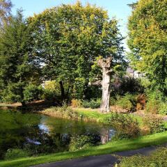 Отель Kurpark Villa Aslan фото 3