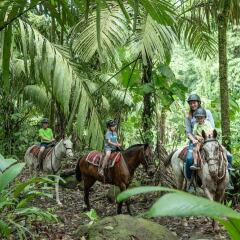 Отель The Springs Resort and Spa at Arenal фото 14
