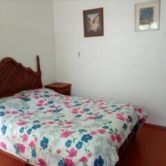 Отель Hostal Cuija Coyoacan Мексика, Мехико - отзывы, цены и фото номеров - забронировать отель Hostal Cuija Coyoacan онлайн комната для гостей фото 5