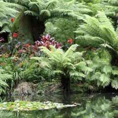 Furnas Boutique Hotel Thermal & Spa фото 2